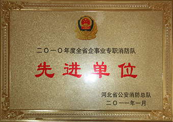2010年河北省先進單位